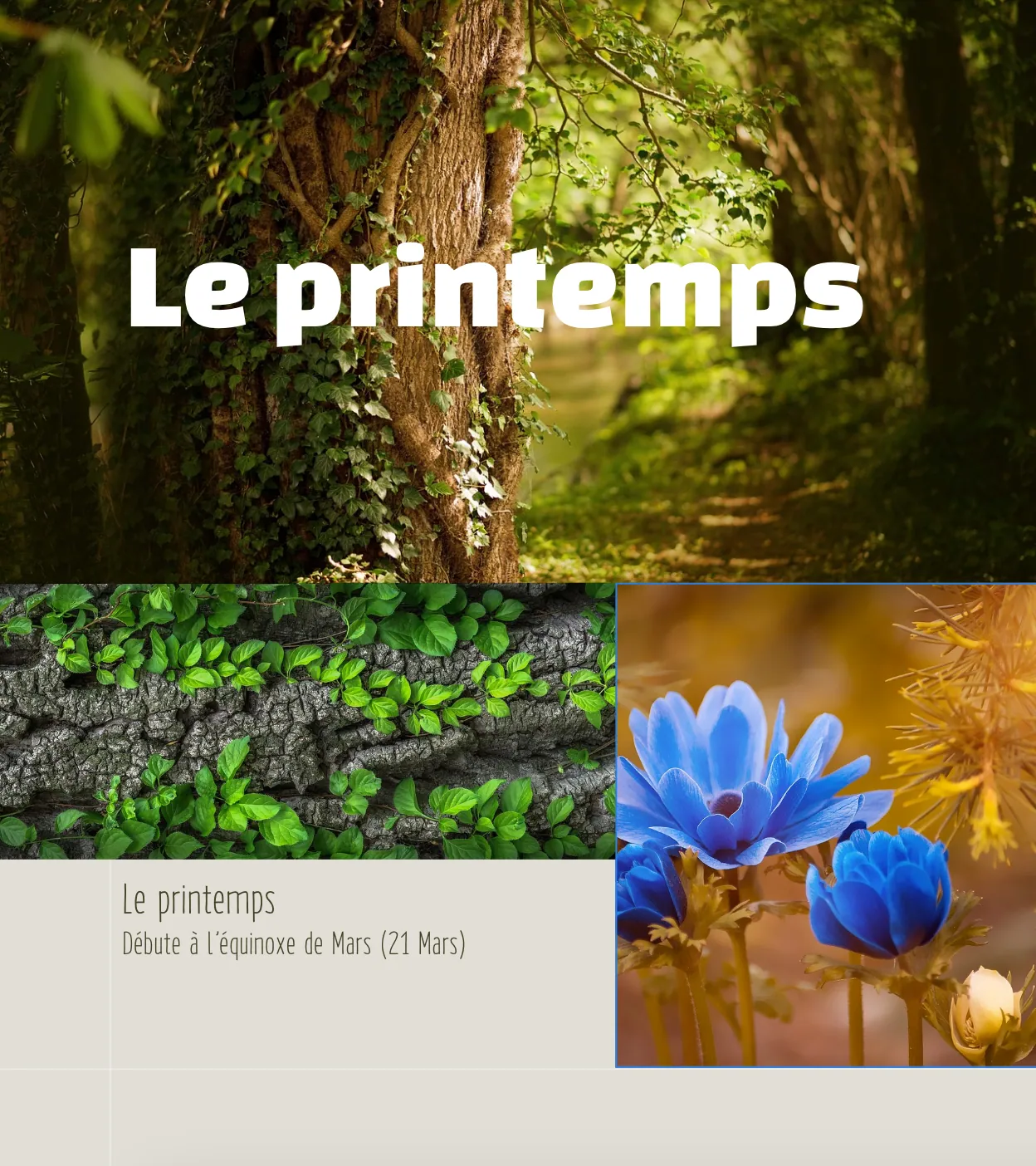 Les Saisons - écran