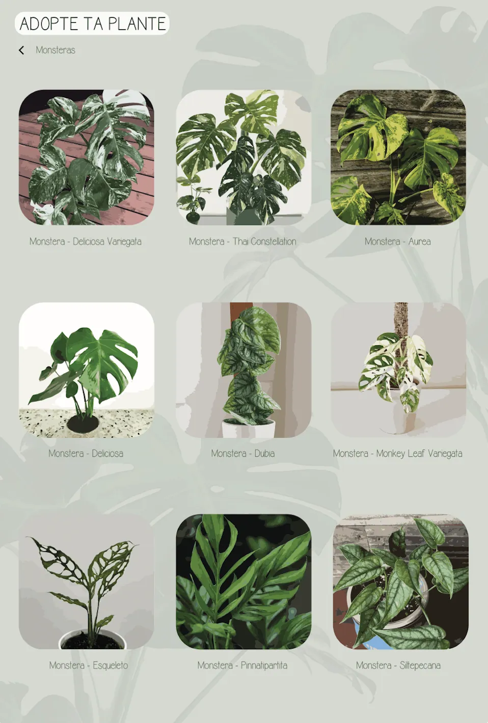 Adopte ta plante - écran